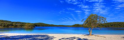 Lake McKenzie - Fraser Island - QLD (PB5D 00 51A1886)